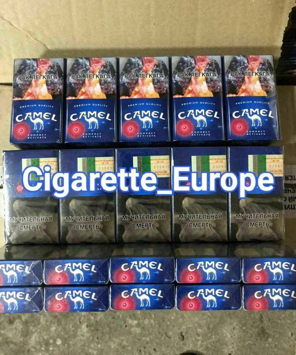 Camel Chery